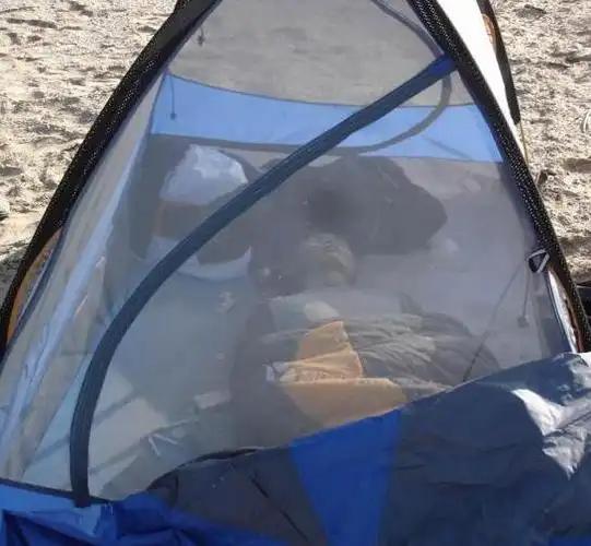 新疆罗布泊女驴友干尸 女干尸是谁 考古队掘出300多个墓葬