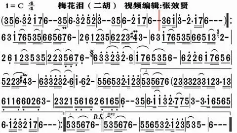 二胡演奏《梅花泪》的同步动态简谱