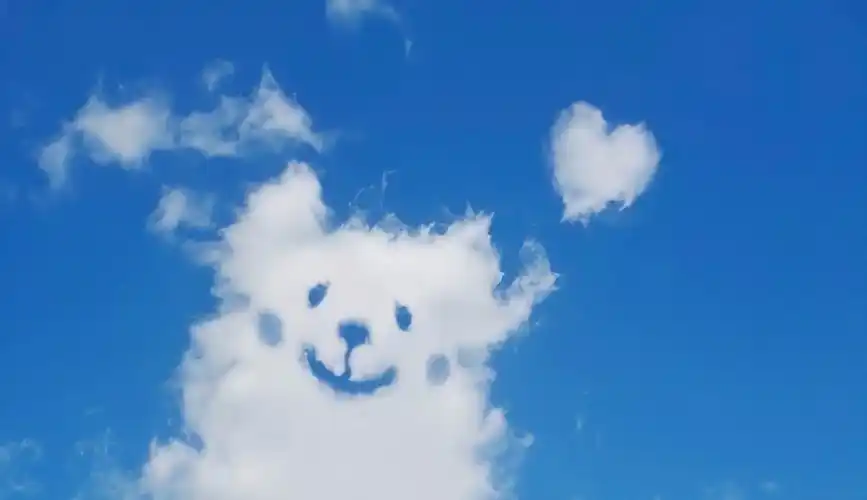 有什么壁纸能让ipad横屏和竖屏都合适