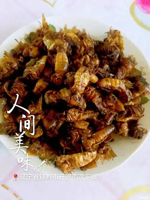人可能认识这个什么东西,这个柞蚕蛾子,剪去翅膀等等用油炸,非常香