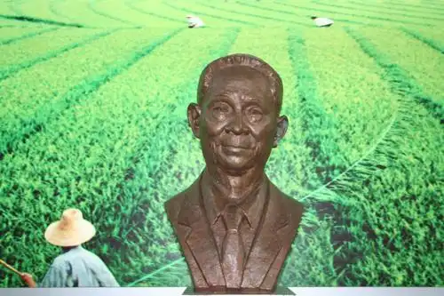 "泥腿子"科学家袁隆平永不满足的超级水稻梦