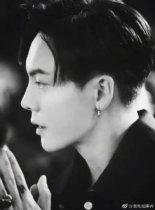[陈伟霆][分享]190129 最美侧颜照大赛 陈伟霆名品侧颜c位出道!