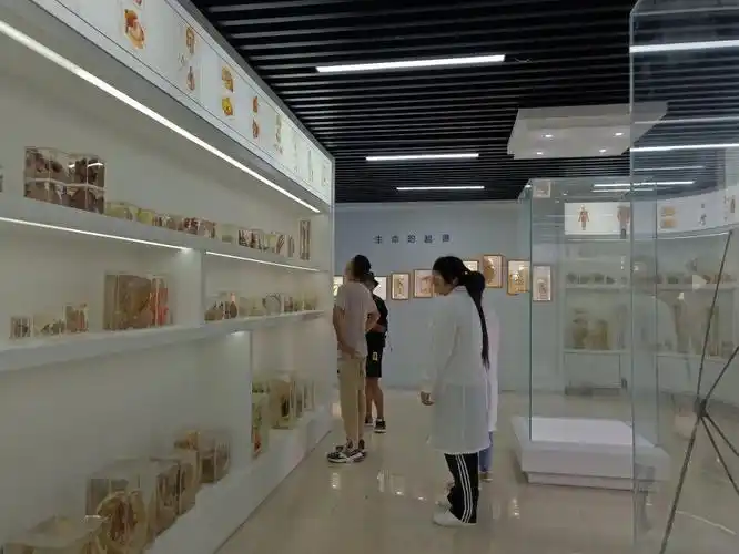 我院开展人体标本展活动-医学院