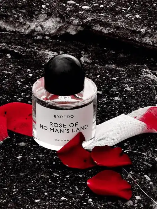 拜里朵 无人区玫瑰|崩塌的瞬间我还攥着玫瑰