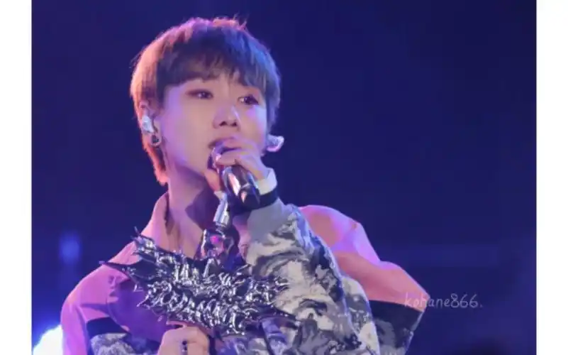 汪苏泷半糖音乐节寻宝藏今天也有开心的蹦蹦跳跳!