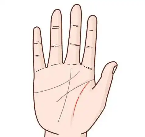 短命的手相特征,生命线有缝隙的人寿命长短预测 综合国学知识