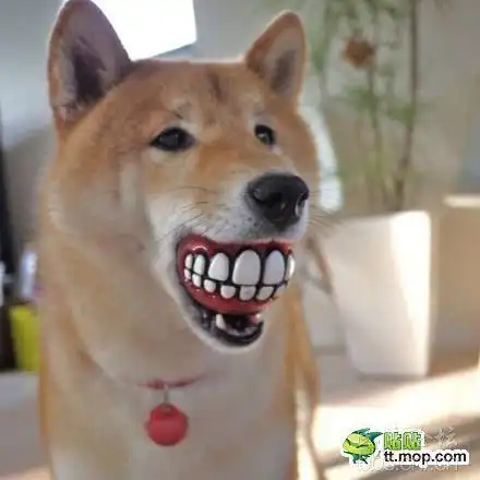 要搞笑的那种.一看就能笑出来的逗比头像.一定要高清的.