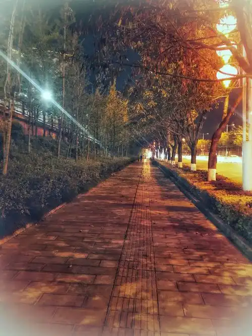 美丽的夜晚,夕阳.街灯.圆月.构成了一幅幅精美的画面.