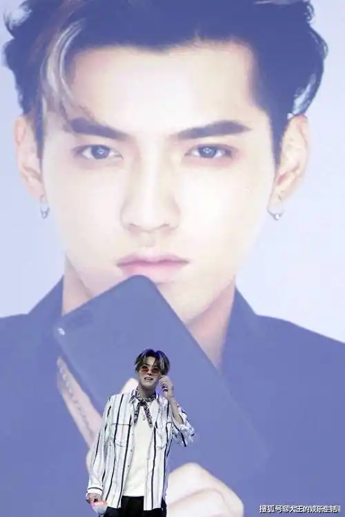 回到中国发展后,吴亦凡凭借着极高的颜值而颇受国民喜爱,在其他方面不