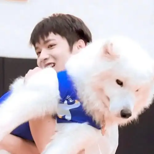 和刘耀文点亮微博之夜