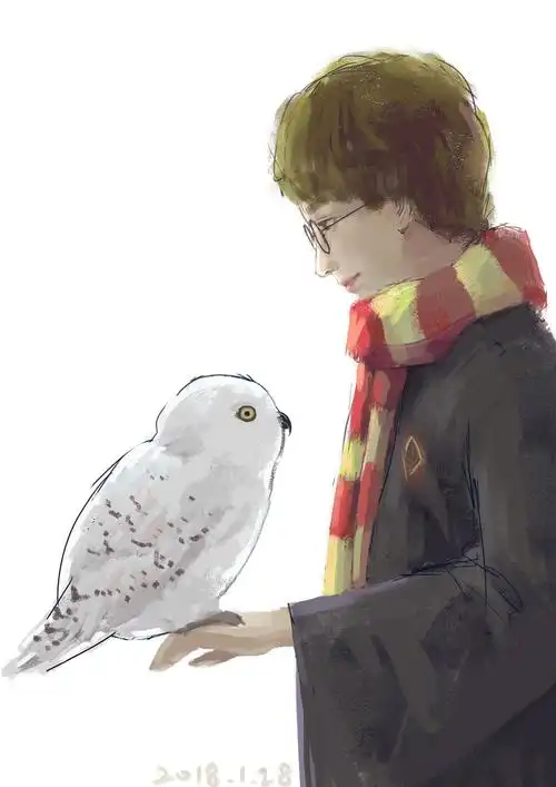 哈利波特与他的海德薇|插画|创作习作|小葵米子 - 原创作品 - 站酷