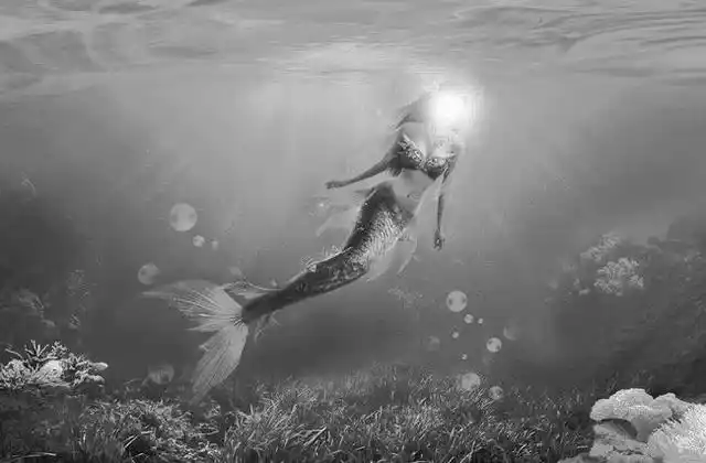 灵异鬼故事美人鱼的故事