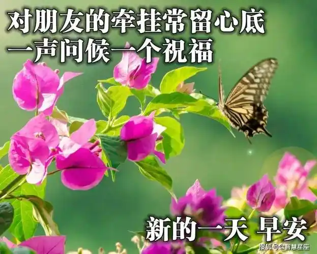 8张最漂亮夏天清晨早上好动态表情祝福图片,2023夏日早晨好动图美图