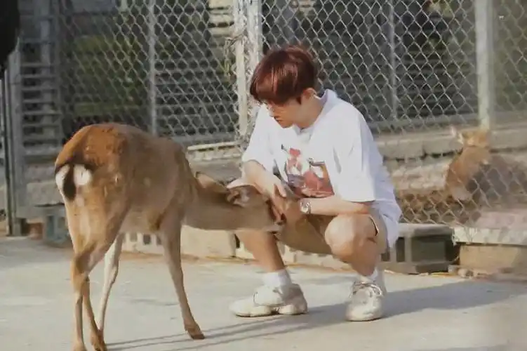 baekhyun  #exo边伯贤  #天才爱豆边伯贤  #伯贤  #女友视角  #男友