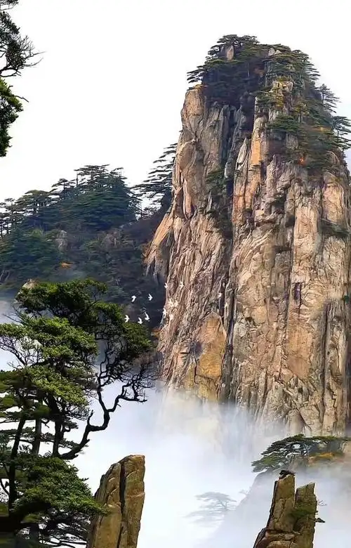 它以壮丽的山峰,奇特的石笋,秀丽的云海而闻名于世