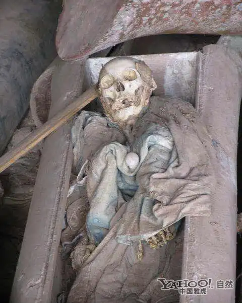 探秘崖葬悬棺中的干尸 慎入!(图)