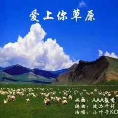 爱上你草原dj版