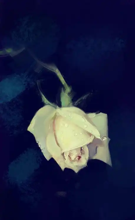 一朵花的幸福 唯美意境森系伤感图片