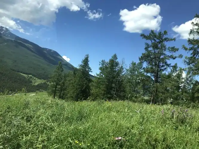 6月29日喀纳斯风景照.