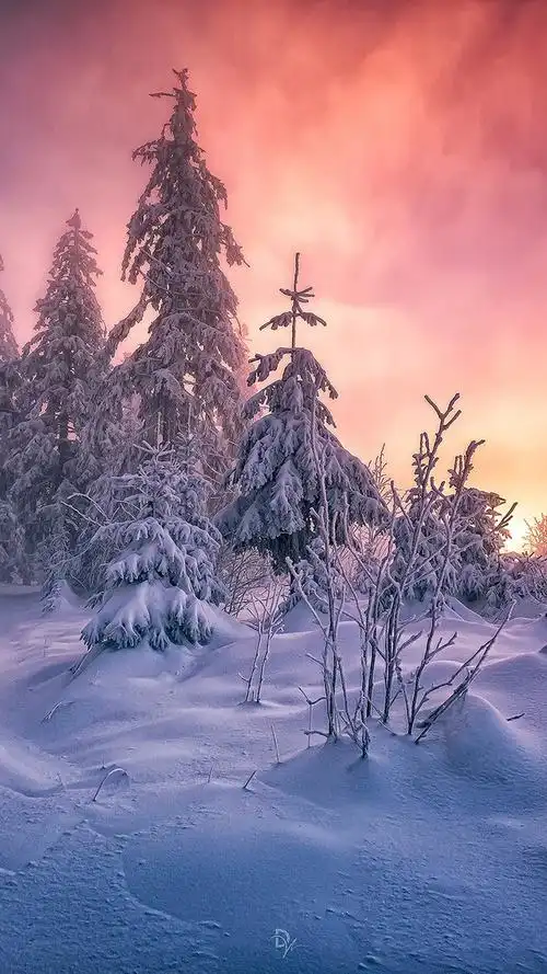 唯美风景iphone7壁纸,分辨率750x1334高清壁纸