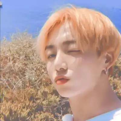 防弹少年团/田柾国头像