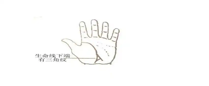 详解:生命线上出现三角纹路(三角纹位于生命线,生命线和三角纹重叠