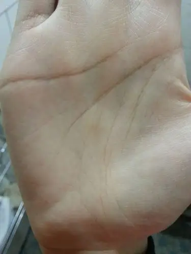 麻烦高人帮忙看下手相,生命线好短啊,但有人说我有姐妹线,不懂啊!