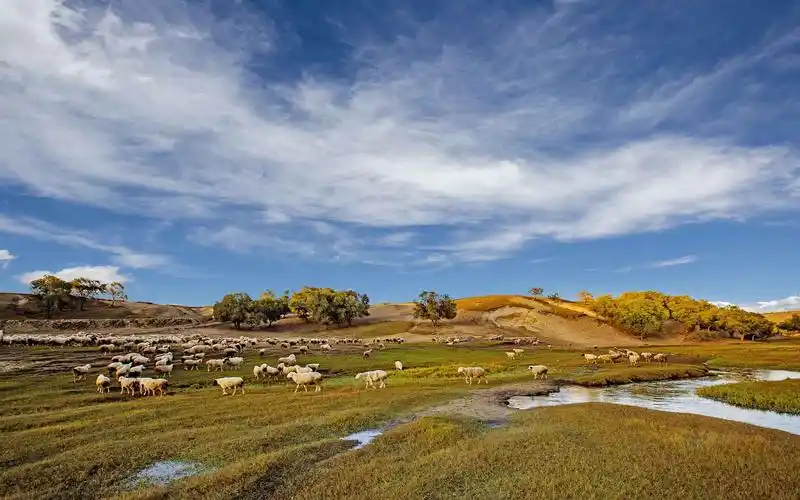 塞罕坝深秋唯美自然风光图片桌面壁纸