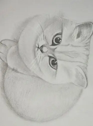 手绘简单素描,彩铅