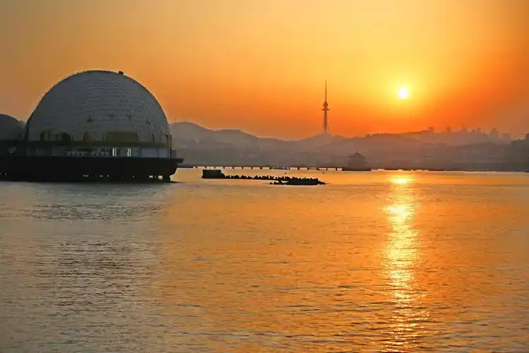 青岛,碧海蓝天,花的海洋,景色宜人.