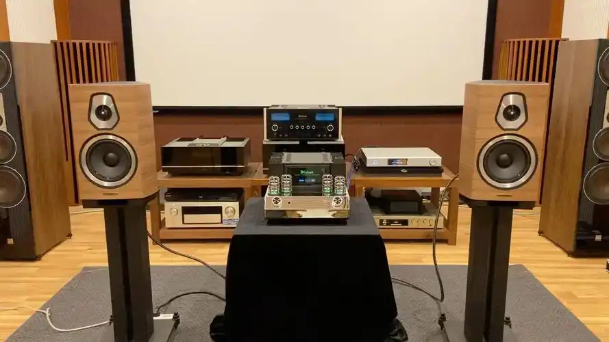 势霸诗人二号音箱 麦景图ma252胆机