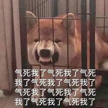 柴犬气死我了表情包高清版安卓版