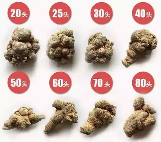 选三七应该是按头数选还是年份选?