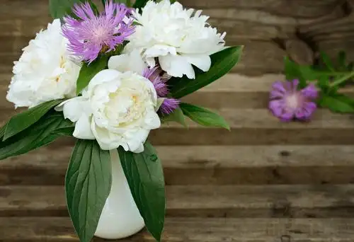 鲜花排名大全最漂亮(鲜花排名大全最漂亮的花)