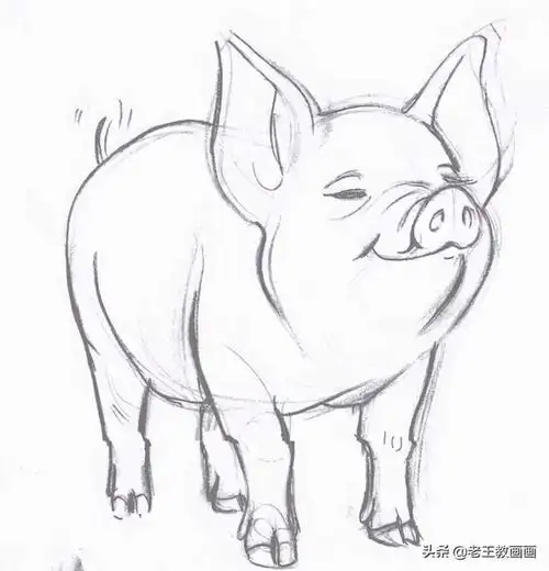 羊简笔画(画小羊的最简单画法)_值得一看_老猫资源网-老猫娱乐网,专注