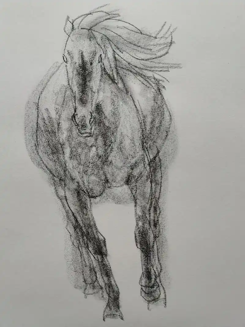 于永平美术作品 #于永平画马 #素描速写 - 抖音