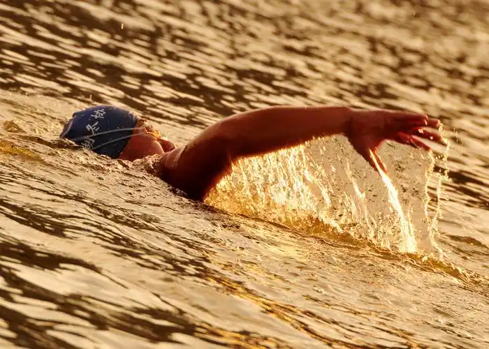 镜湖里游泳的人组照