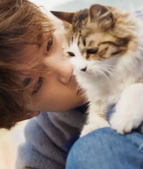 易烊千玺晒新年写真穿蓝色毛衣抱着猫咪治愈系男孩好帅