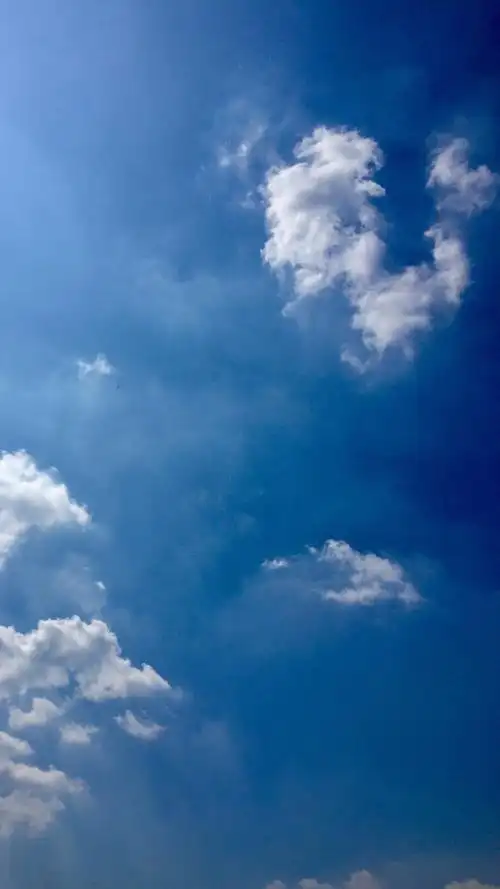 19-9-16 今日份-今天贼舒服