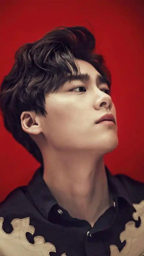 中国男演员李易峰