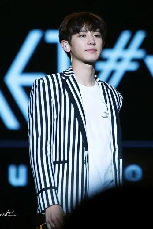 二巡演唱会南京站 朴灿烈