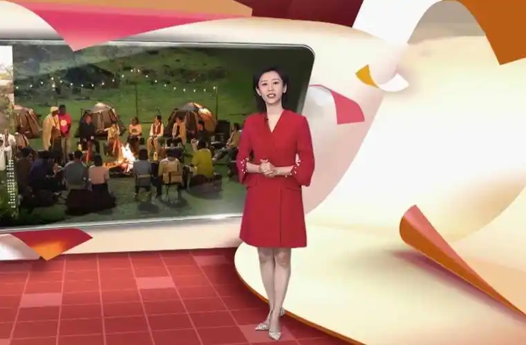 央视《新闻联播》新面孔王音棋出镜率提高,事业发展进入转折点_观众