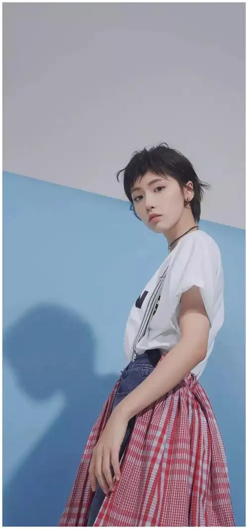 明星壁纸|成果(诸葛大力)