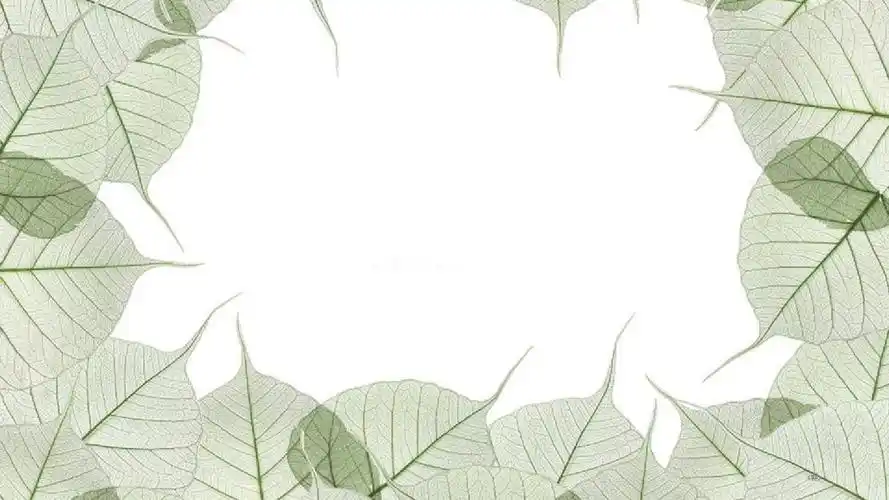 小清新文艺风ppt模板 (95)