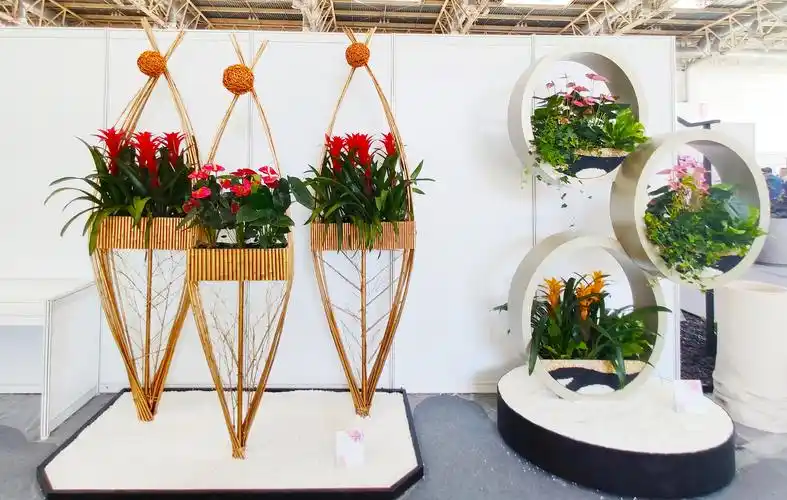 花展中的花卉艺术摆花艺术和插花艺术