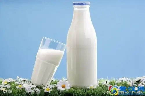 女人每天早上喝牛奶有什么好处(坚持喝牛奶4个好处,让你受益不少)