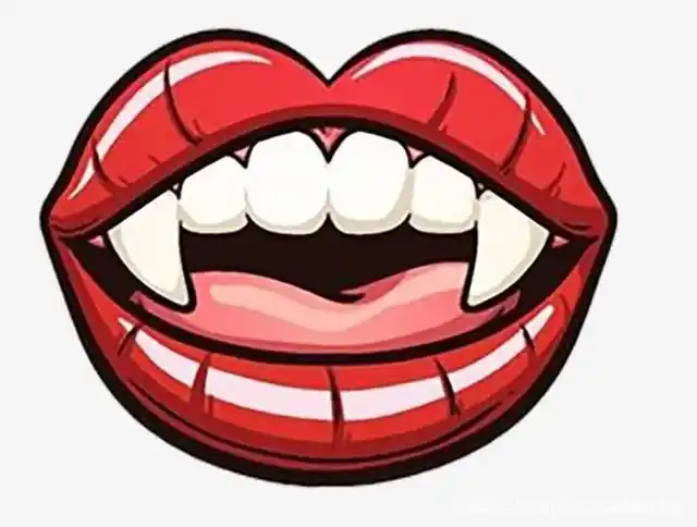 口腔里一对尖牙你都认识吗