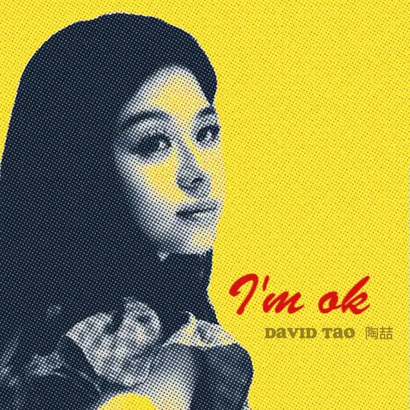 现在的你成了大锦鲤95.#陶喆#专辑封面 - 抖音