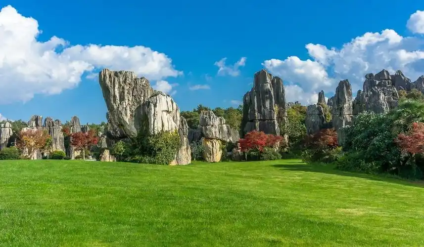 大自然的馈赠—云南石林风光(二)