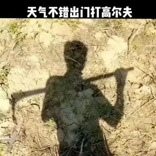 124张让人笑到肚子疼的搞笑图片 - 知乎